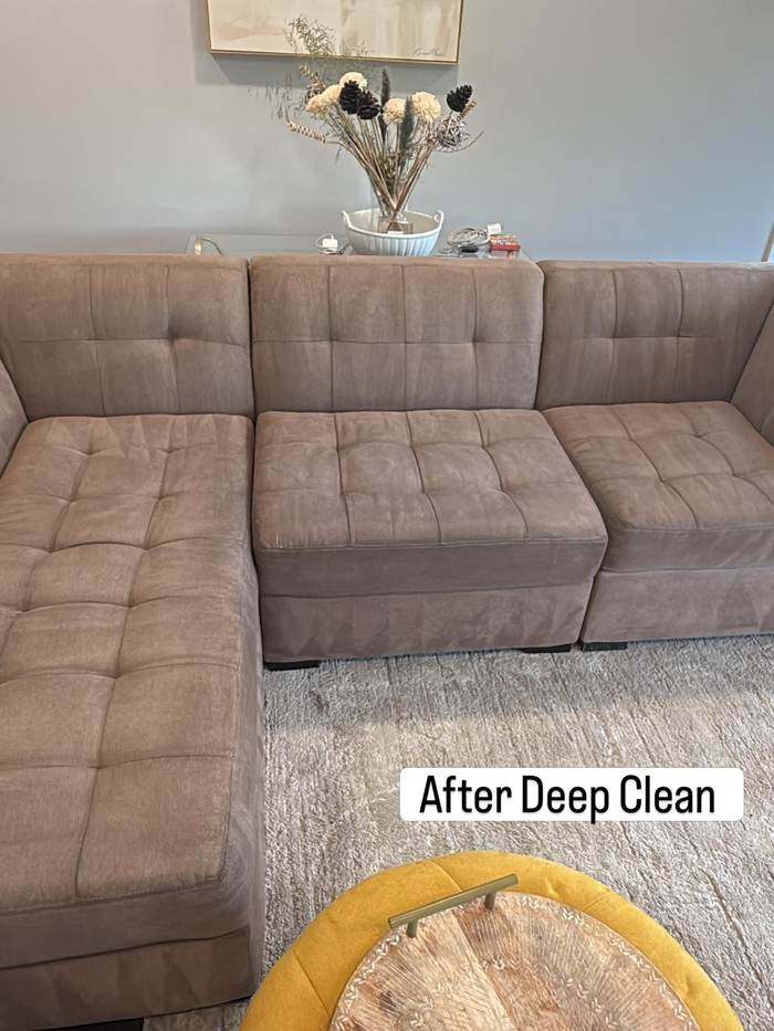 Sectional couch after deep cleaning